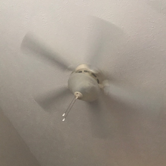 Meet your Posher, Briana - Picture 1 of 1